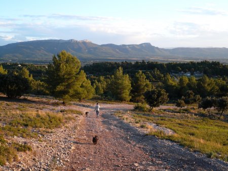 Le mont Aurélien à gauche, vu depuis les collines de Pourrières (photo hors itinéraire).