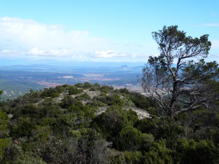 Le Collet Redon vu dans la montée.