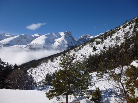 Dans le rétro.