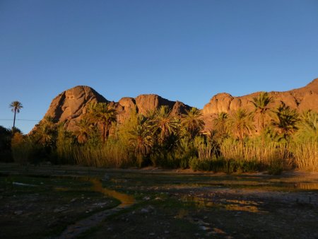 Oasis de Fint