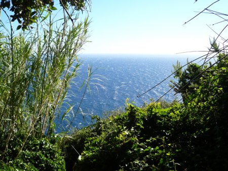 Vue sur la mer depuis la source abritée.