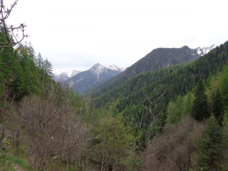 Départ dans la Forêt de Bellevue