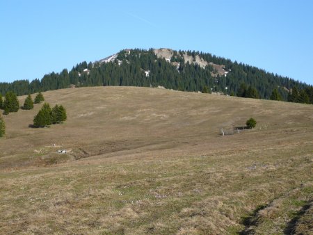 Pointe de la Gay depuis l’alpage de Tré-le-Saix.