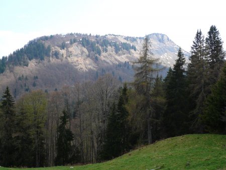 De la Petite Giettaz, vue sur l’échine de Praz Véchin.