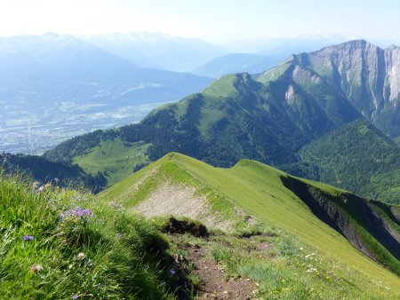 Descente vers l’intersection du sentier pour le col du Drison.