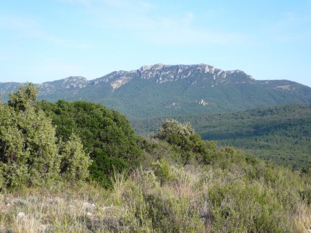 Montagne de la Loube depuis le chemin de crête.