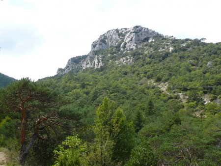 Montée au col de Bertagne.