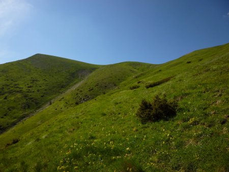 Puis hors-piste dans l’alpage.