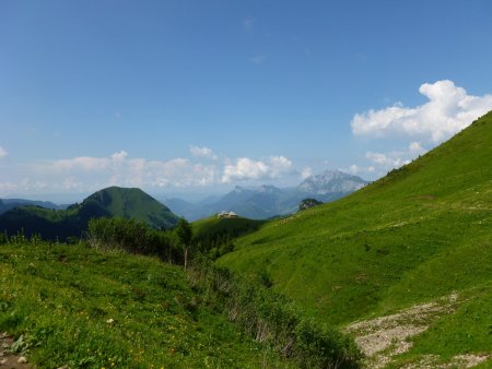 Dans le rétro de plus loin.