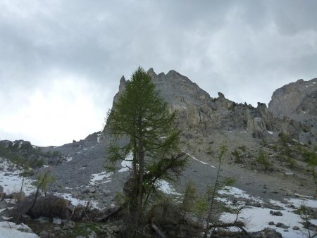 Vue arrière, pour la descente le sentier passe près de la bordure du pierrier.