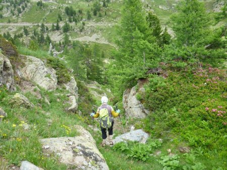 Descente hors sentier.