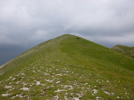 Dans le rétro.