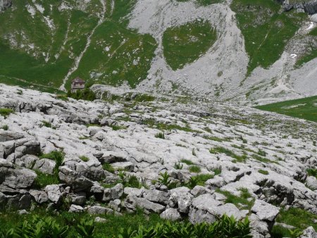 Le grand lapiaz et le refuge Blonay-Dufour.