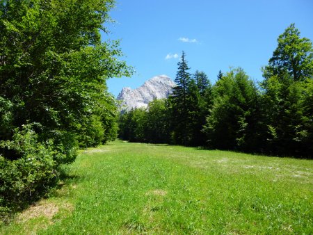 Au travers d’une piste, vue sur le Roc de Garnesier.