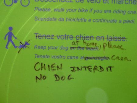 Les chiens ne sont pas bien vus !