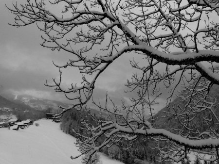 vue arrière vers le Champel