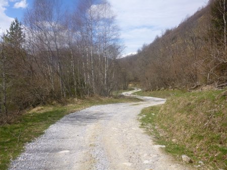 La piste forestière qui ramène à Gestiès