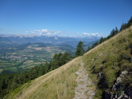 Fin de l’exposition du sentier avant le retour en forêt.