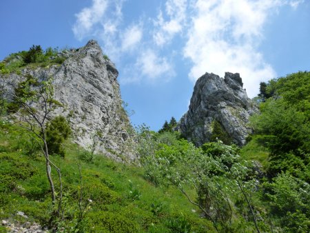 Les falaises.