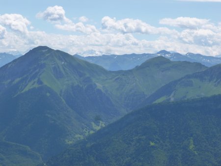 L’alpage d’Armenaz entre le Pécloz et la pointe des Arces.