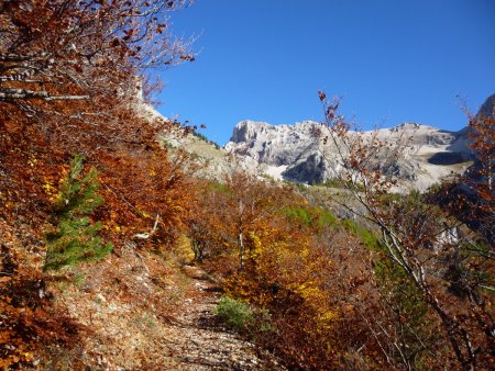 Belles couleurs automnales au début du sentier.