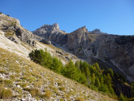 Objectif : rejoindre le petit bois de pins tout à droite de la photo.