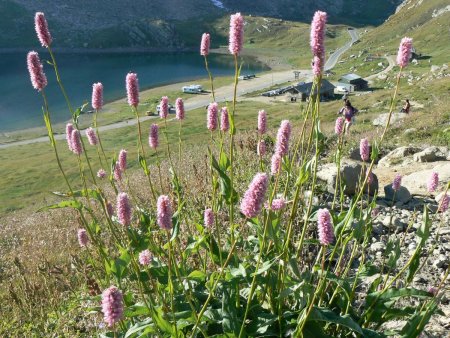 Rifugio Savoia