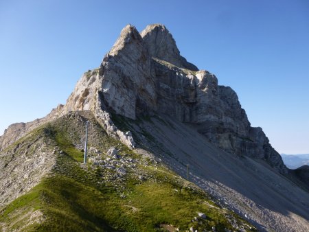 La Tête dans le rétro.