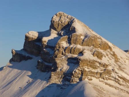 Tête de Garnesier.