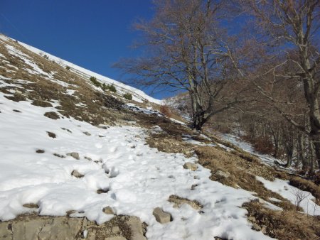 Montée au col de la Croix.