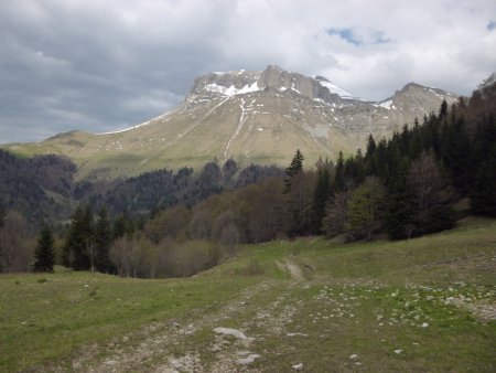 On reprend la piste en bas de l’alpage.