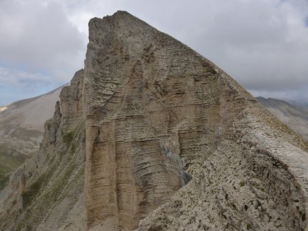 La Tête de Plate Longue... Grandiose !