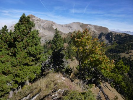 Sur la crête.