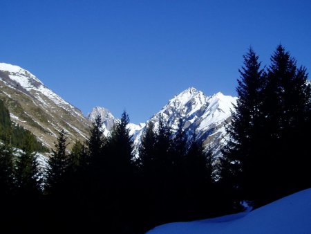 Montée en forêt