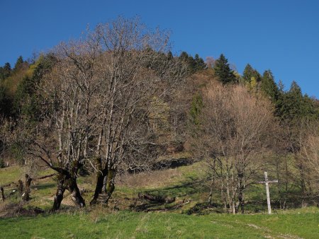 Alpage du Chênay