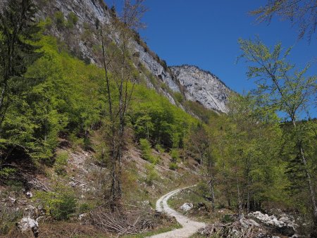 Passage à l’alpage du Fresnay.