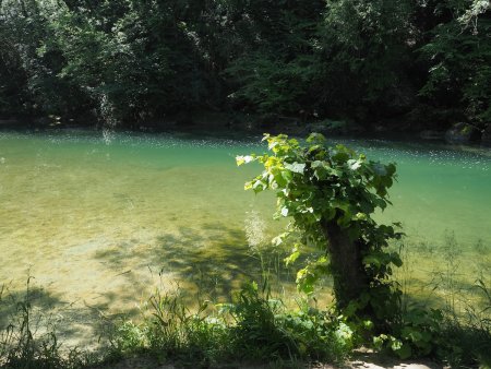 La Valserine entre les pertes et le barrage de Métral.