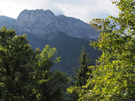 Une trouée dans les arbres permet d’apercevoir le rocher d’Arclosan.