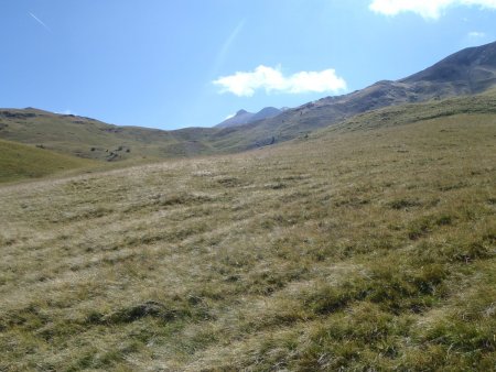 Montée dans l’alpage herbeux