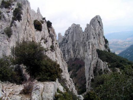 les «dentelles sarrasines»