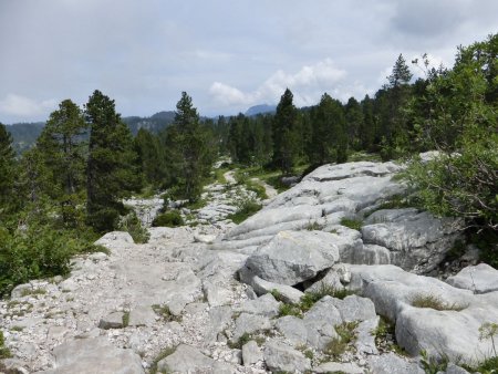 Sentier du Petit Montoire