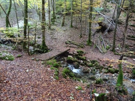 Passerelle du Mouchet