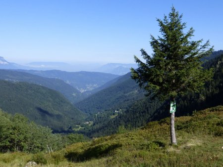 Vue sur le vallon