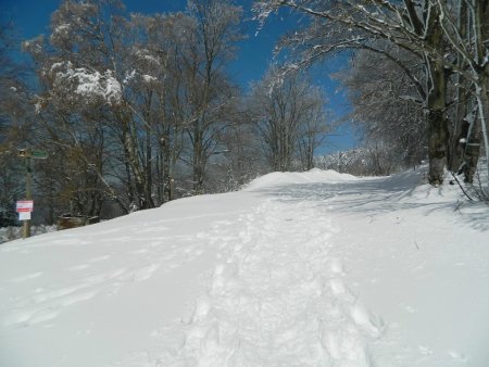 La piste forestière «nord».