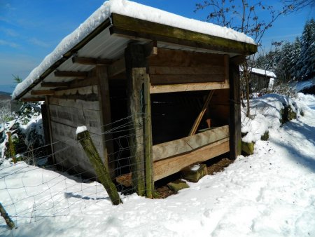 Mangeoire pour chevreuils ?