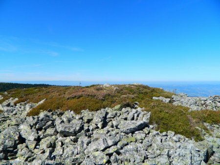 Le crêt du Rachat : chirat, myrtilles et callunes.