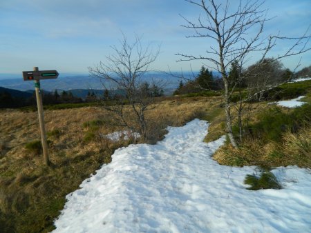 Au col de Botte, descente sur la ferme (en ruine) homonyme.