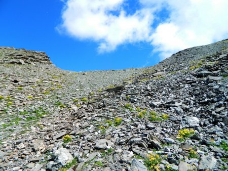 Montée au col des Artilleurs.