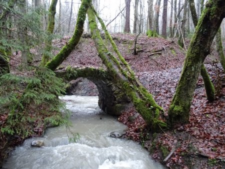 Pont du Soplat