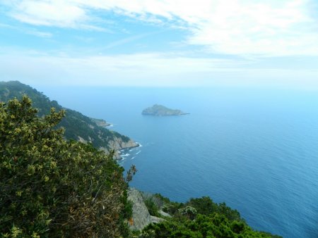 L’îlot de la Gabinière.